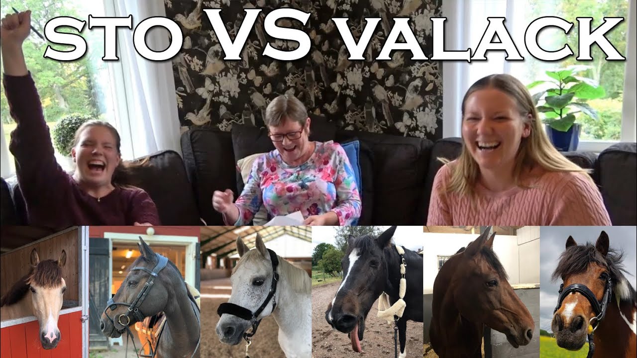 GISSAR KÖNET PÅ ERA HÄSTAR - Sto eller valack, går det att se?