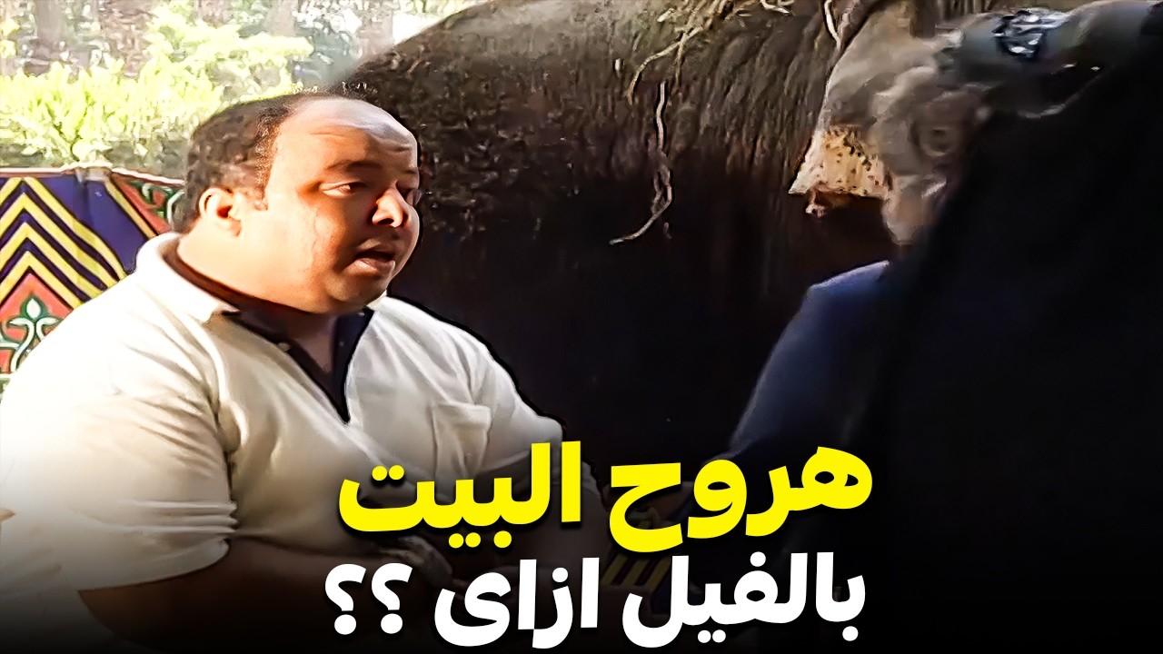 أركب فيل وأمشي بيه في الشارع؟! 🤣 | مقلب ضحك نار