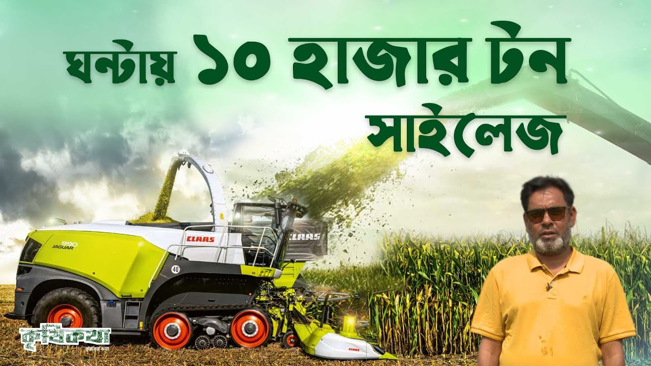 সাইলেজ কি তবে গো খাদ্যের স্থায়ী সমাধান । Permanent Cattle Feed Solution Rupai Silage - রুপাই সাইলেজ