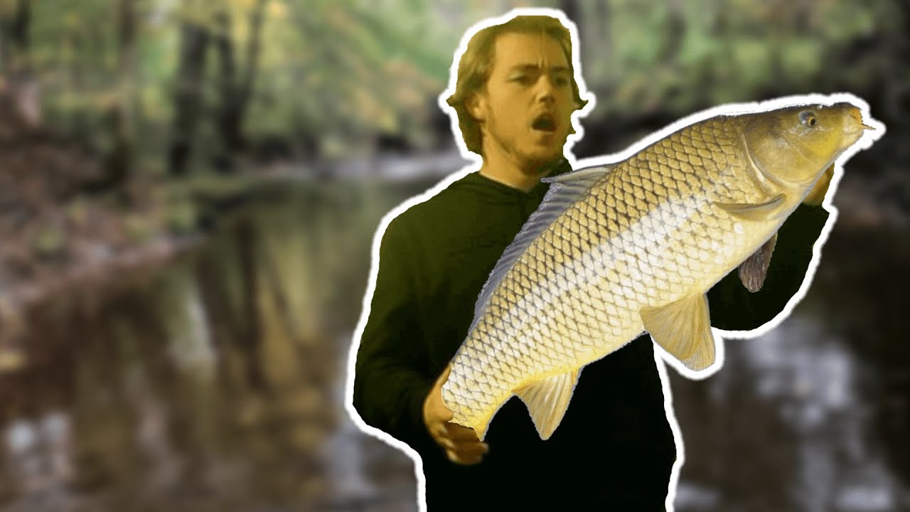 HUGE CARP found in small New Jersey Stream