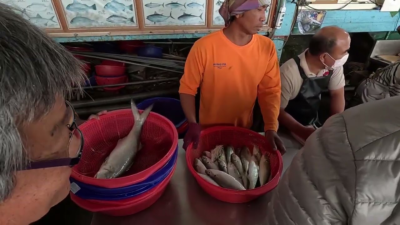Direct look at a fishing port fish auction! Fresh fish weighed and priced in seconds, insider secret