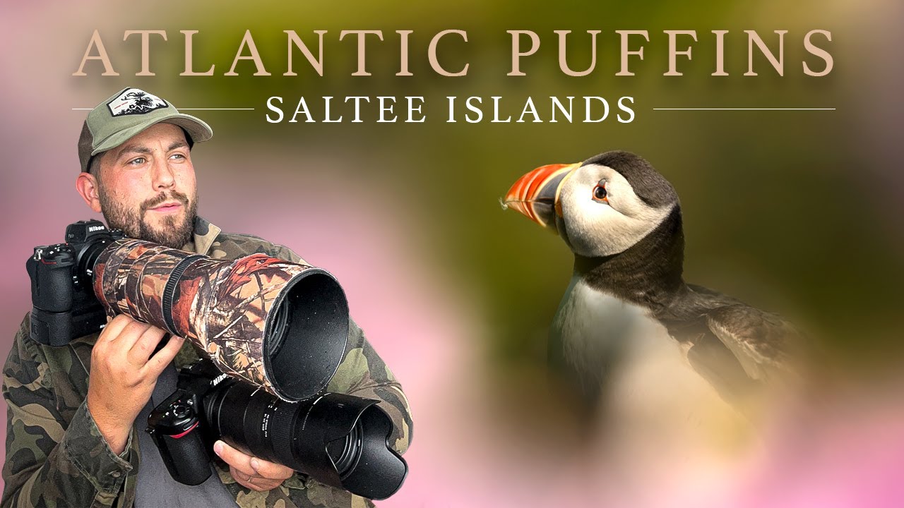 Photographing Puffins 2025 - Saltee Islands Ireland (Wildlife Photography)