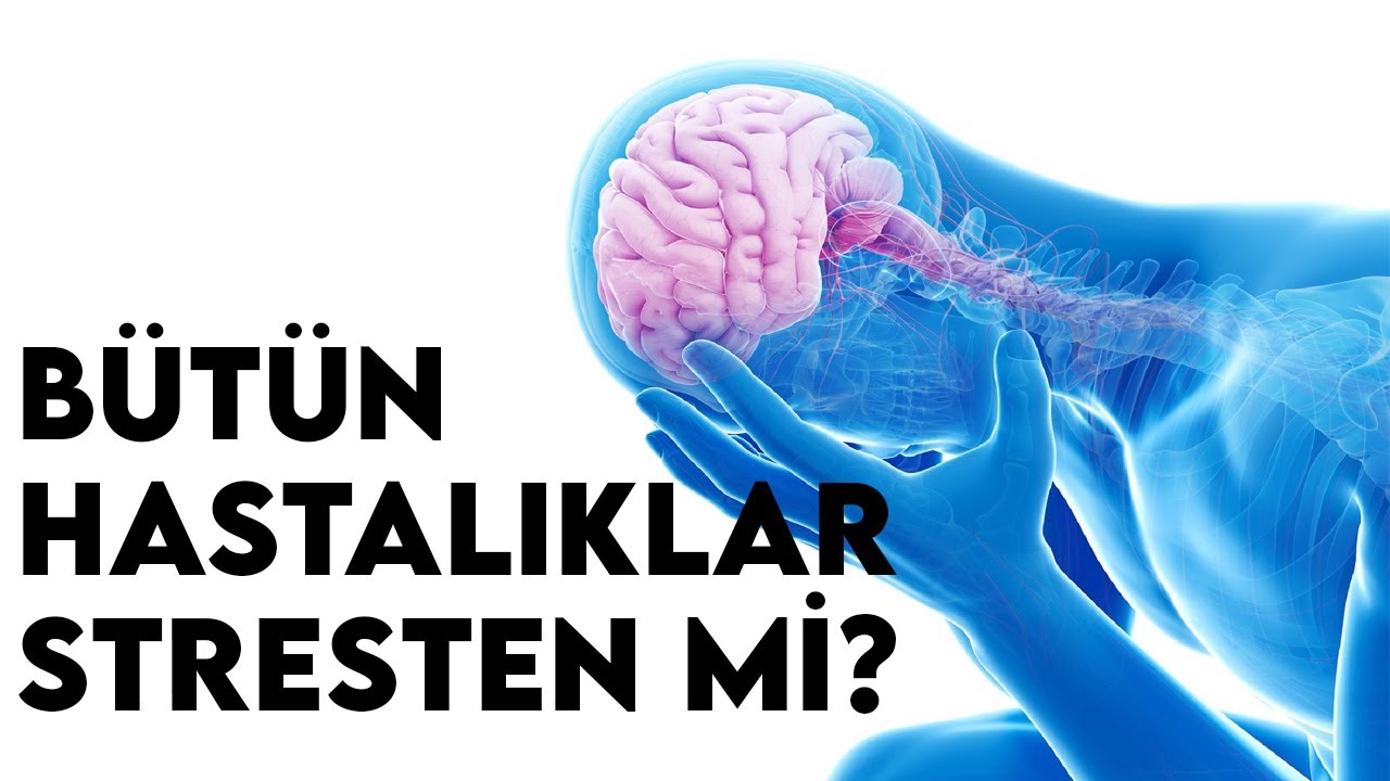 Bütün Hastalıklar Stresten Mi ? (Kişisel Gelişim Videoları)