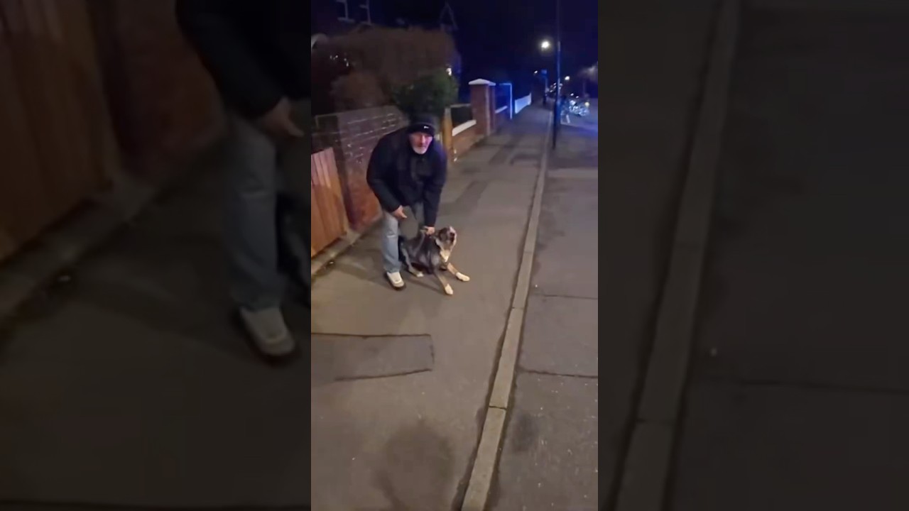 Biker Breaks Up Dog Fight, Then Police Ticket Owner | @kentroads #motorcycle #police #dog