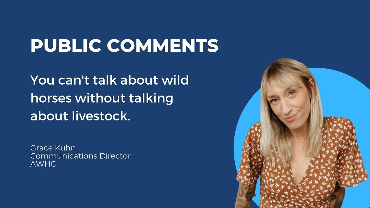 AWHC Dir. of Communications to the BLM Wild Horse and Burro Advisory Board