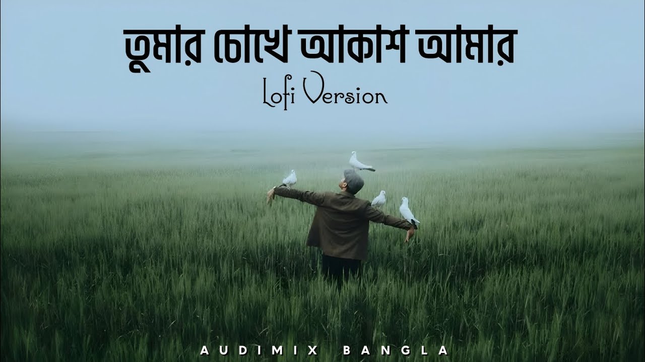 Tumar Chokhe Akash Amar | Bangla Romantic Lofi Song | Audimix Bangla