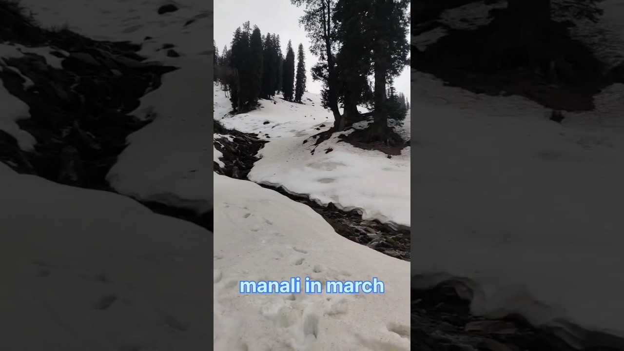 snowfall in manali 🏔️☃️ 