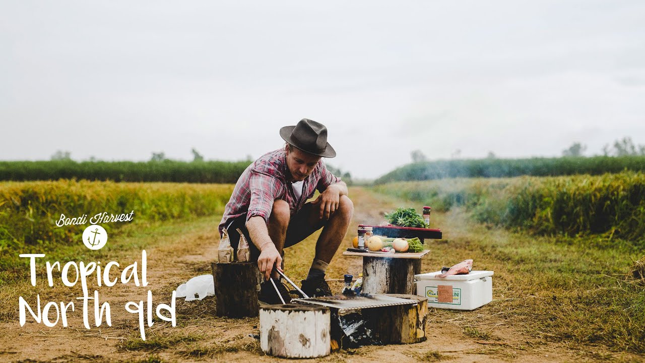 Bondi Harvest Journeys | Tropical North Queensland