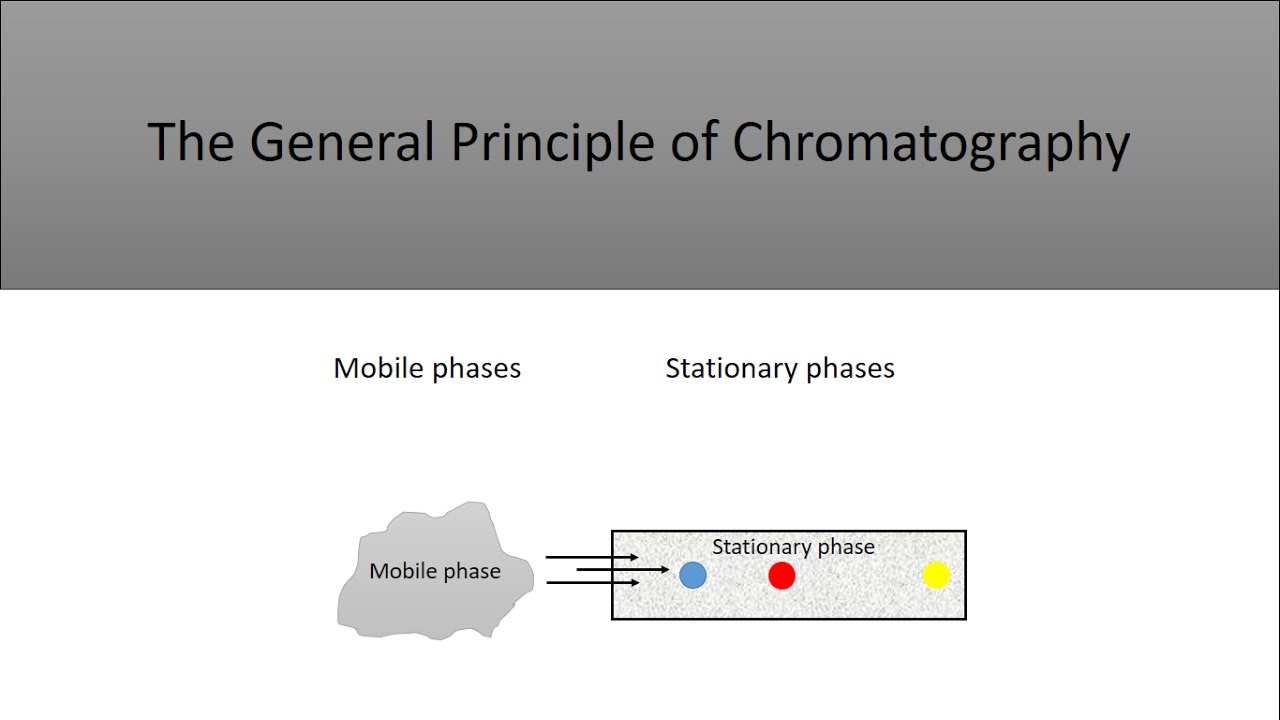 The Basic Principle of Chromatography and the Different Types of Chromatography