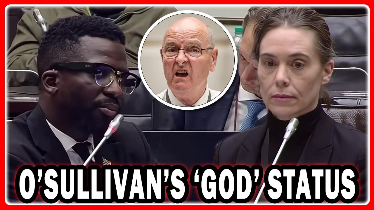 Ashley Sauls Questions Sarah Jane Trent “Your Boss Paul O’Sullivan Was Sending Threats To Phahlane”