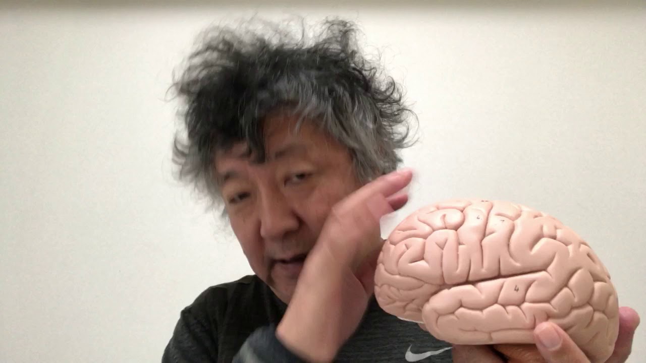 Continuity of self-consciousness before after sleep
