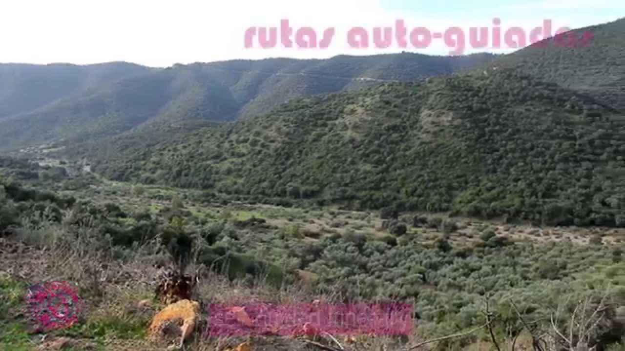 Quercus Route - Obejo