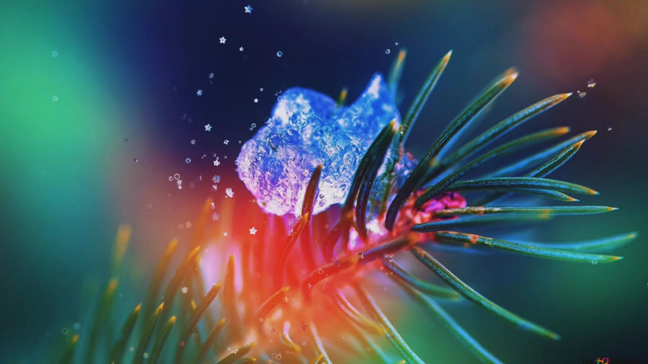 Vibrant Colorful Motion Graphics | Dynamic HD Visuals for Creative Projects, Stunning Visual Effects