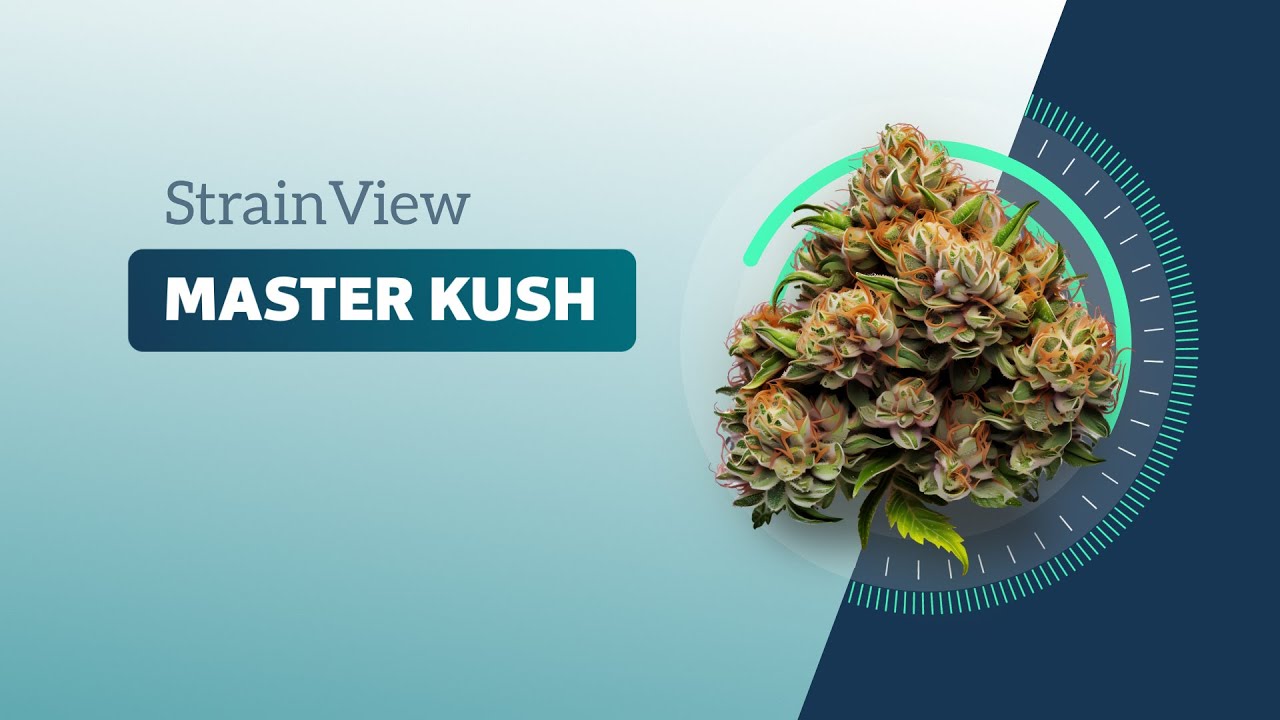 Master Kush - StrainView