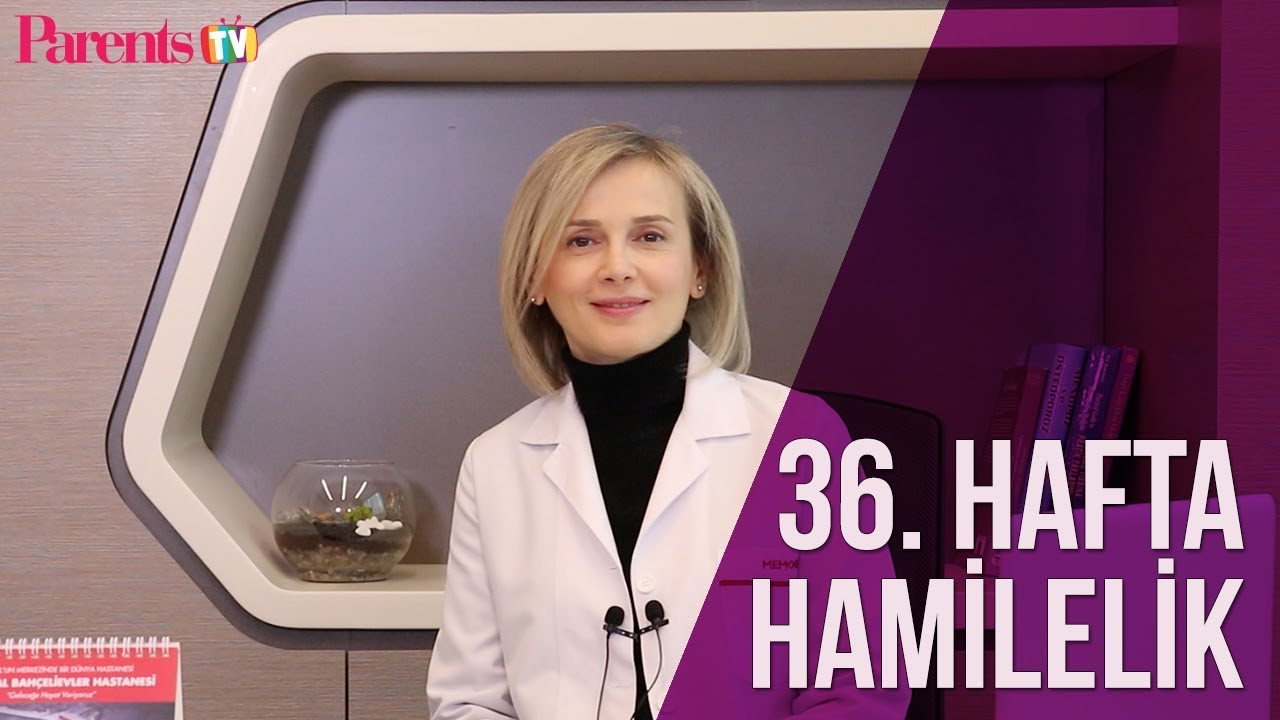 Parents TV - 36. Hafta Hamilelik