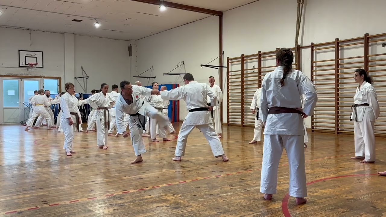 Bubishi -  Baldacchino Salvatore Sensei 5th dan JKA