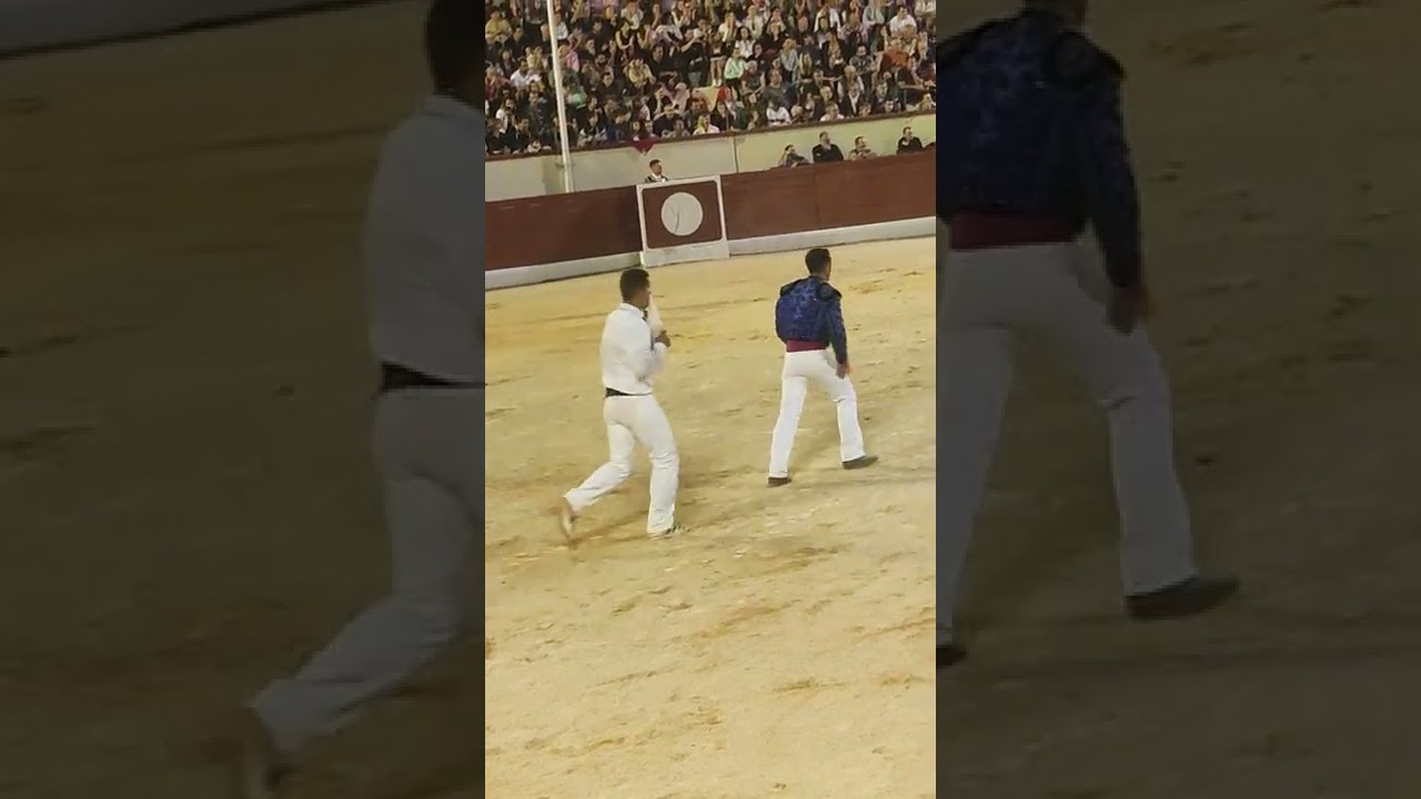course landaise, arène du pesque à orthez
