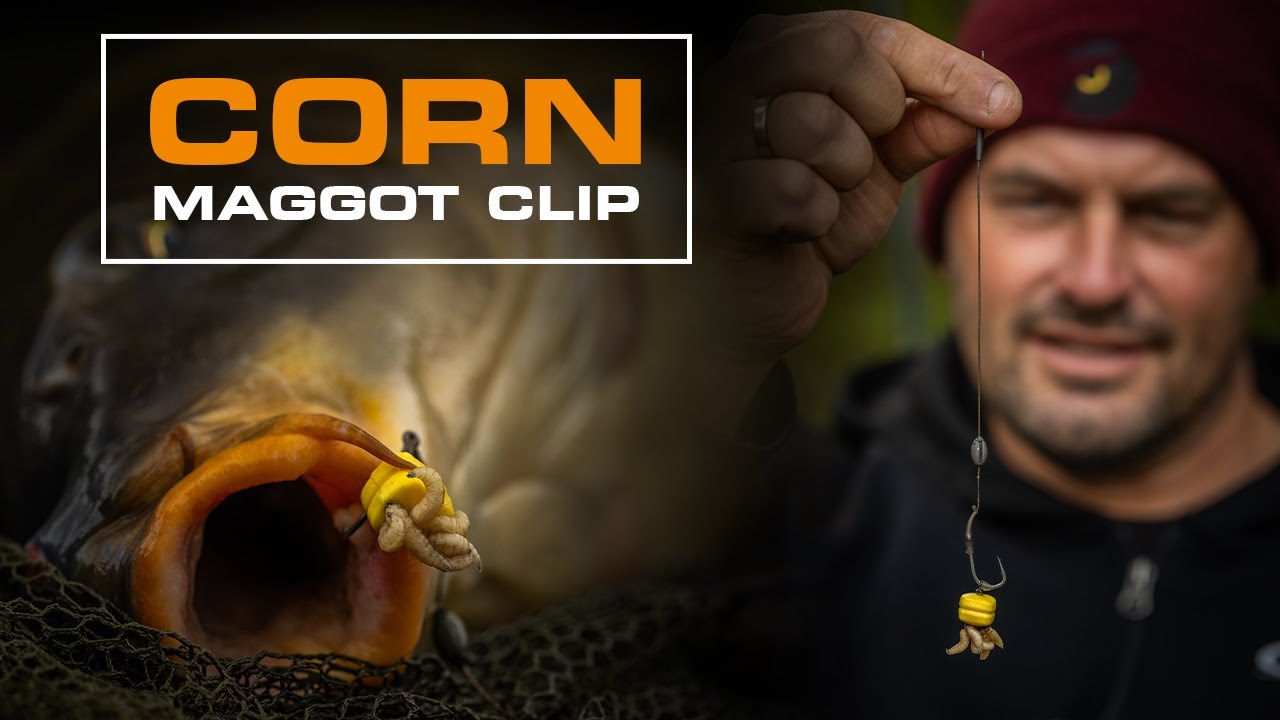 CARPFISHING WITH MAGGOTS HAS NEVER BEEN SO EASY - THE CORN MAGGOT CLIP