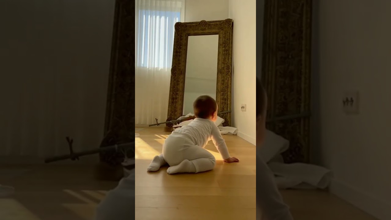 🤣 Cat vs Mirror: The Unsolvable Reflection Paradox 🤯