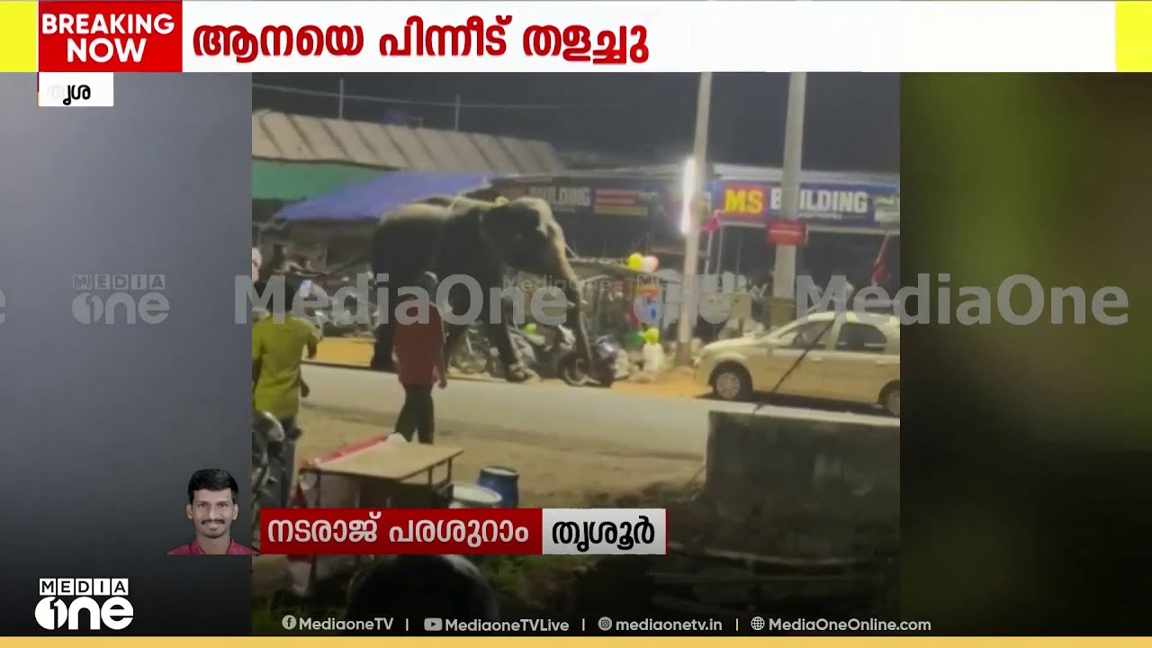 തൃശൂർ   ഉത്രാളിക്കാവ് പൂരത്തിനിടെ  ആനയിടഞ്ഞു