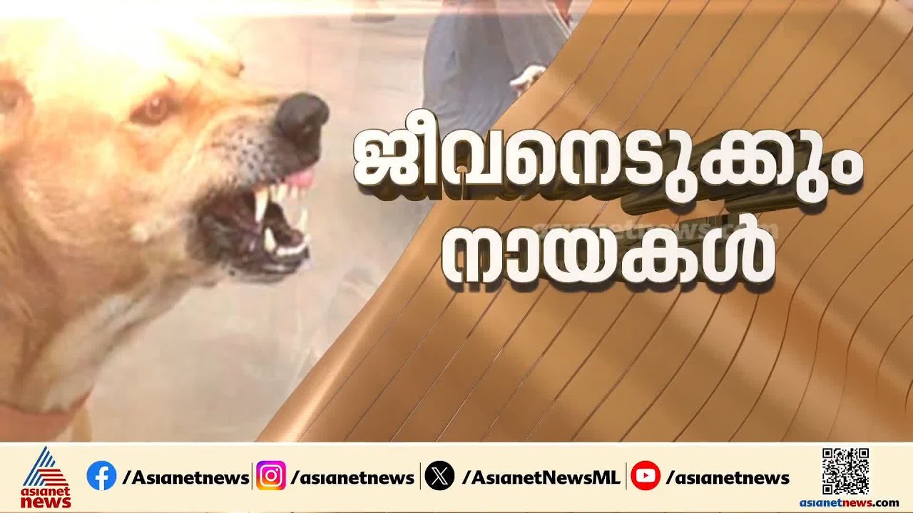 'ചേച്ചിയേ...നായ കടിച്ച് അമ്മ ചോരയിൽ കുളിച്ച് കിടക്കുന്നെന്ന് മണി പറഞ്ഞു'