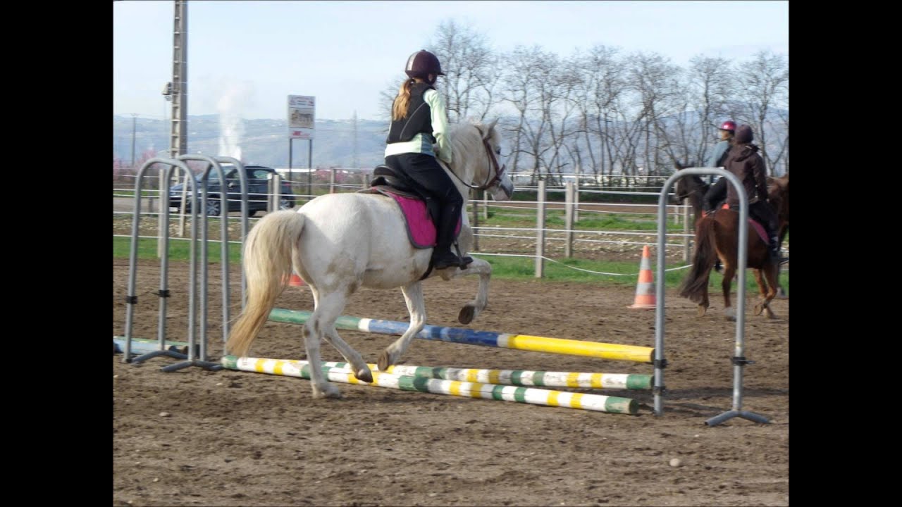Petit-Tonerre &hearts;