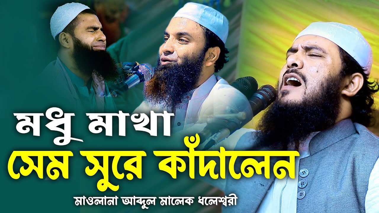 মধু মাখা সেম সুরে কাঁদালেন মাওলানা আব্দুল মালেক ধলেশ্বরী-Abdul Malek Doleshori  New Waz 2024