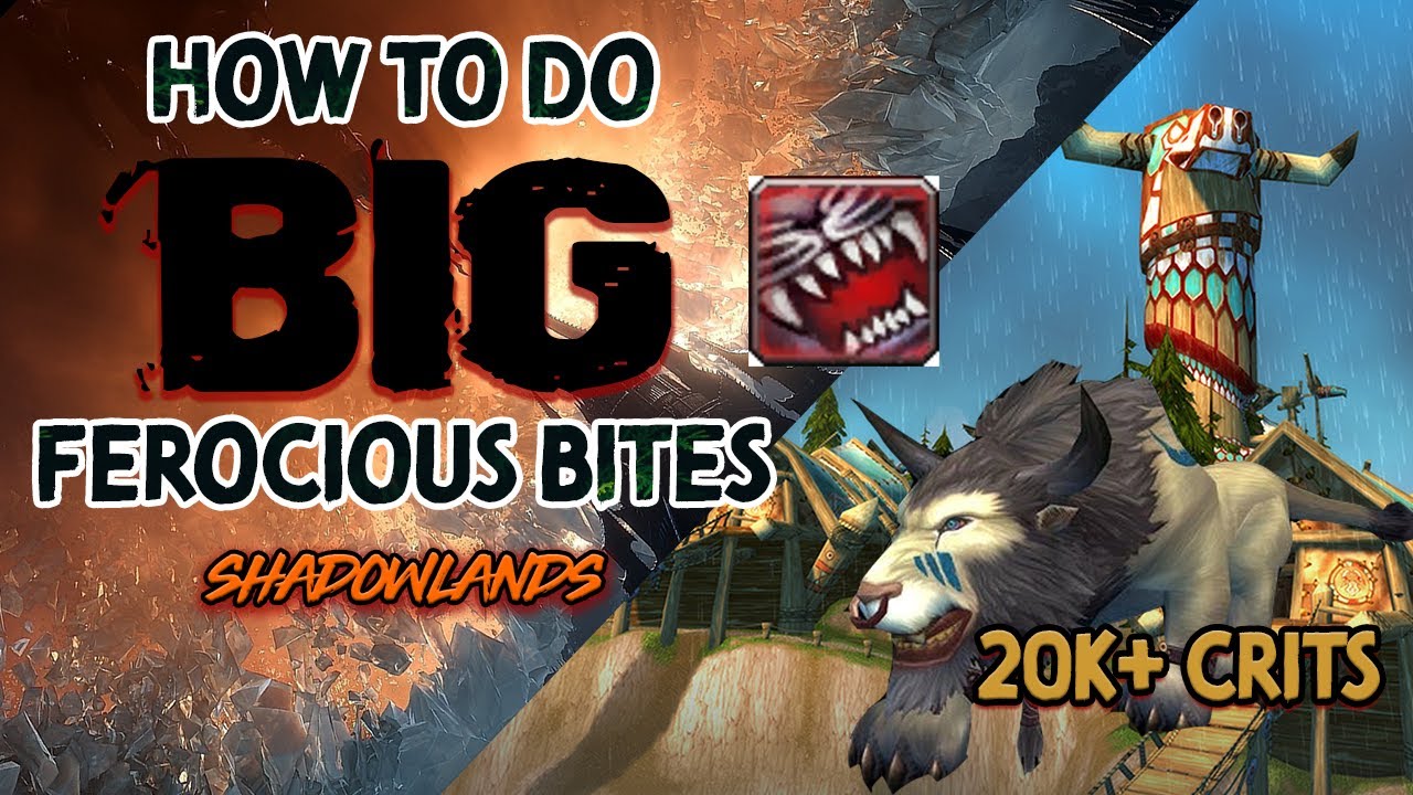 How to do BIG Ferocious Bites | Shadowlands | Feral Druid One Shot