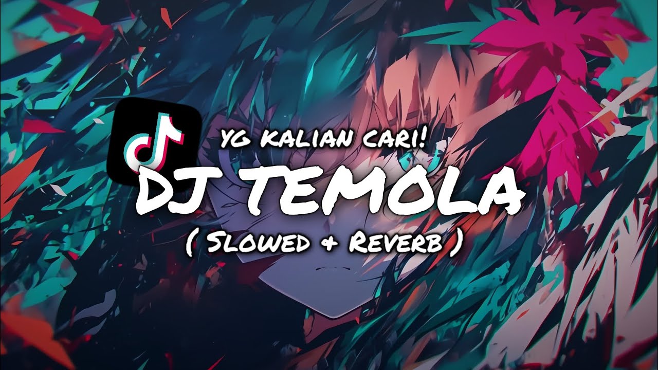 DJ TEMOLA ( SLOWED & REVERB )