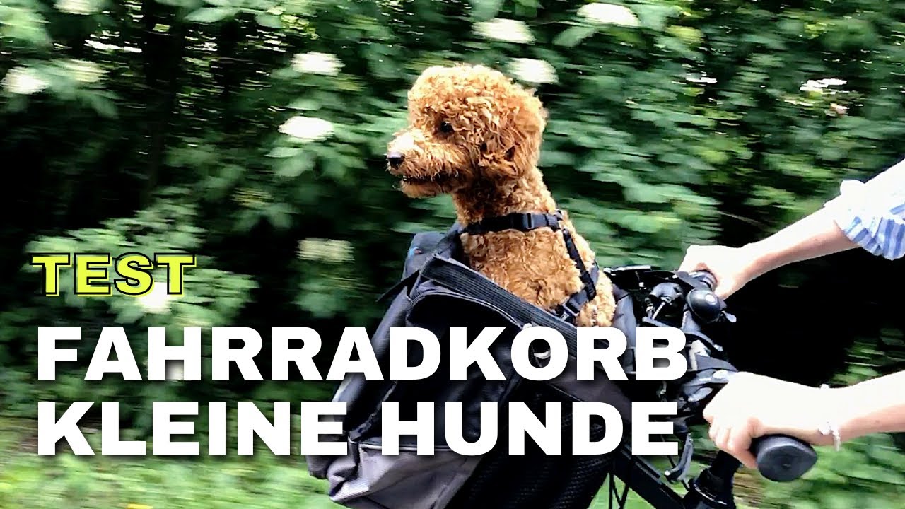 [Test] Fahrradkorb für KLEINE Hunde - Fahrradtour mit Zwergpudel Moki - Montage-Anleitung