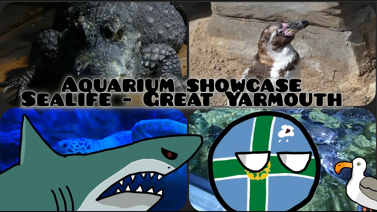 Aquarium Showcase: Sealife - Great Yarmouth