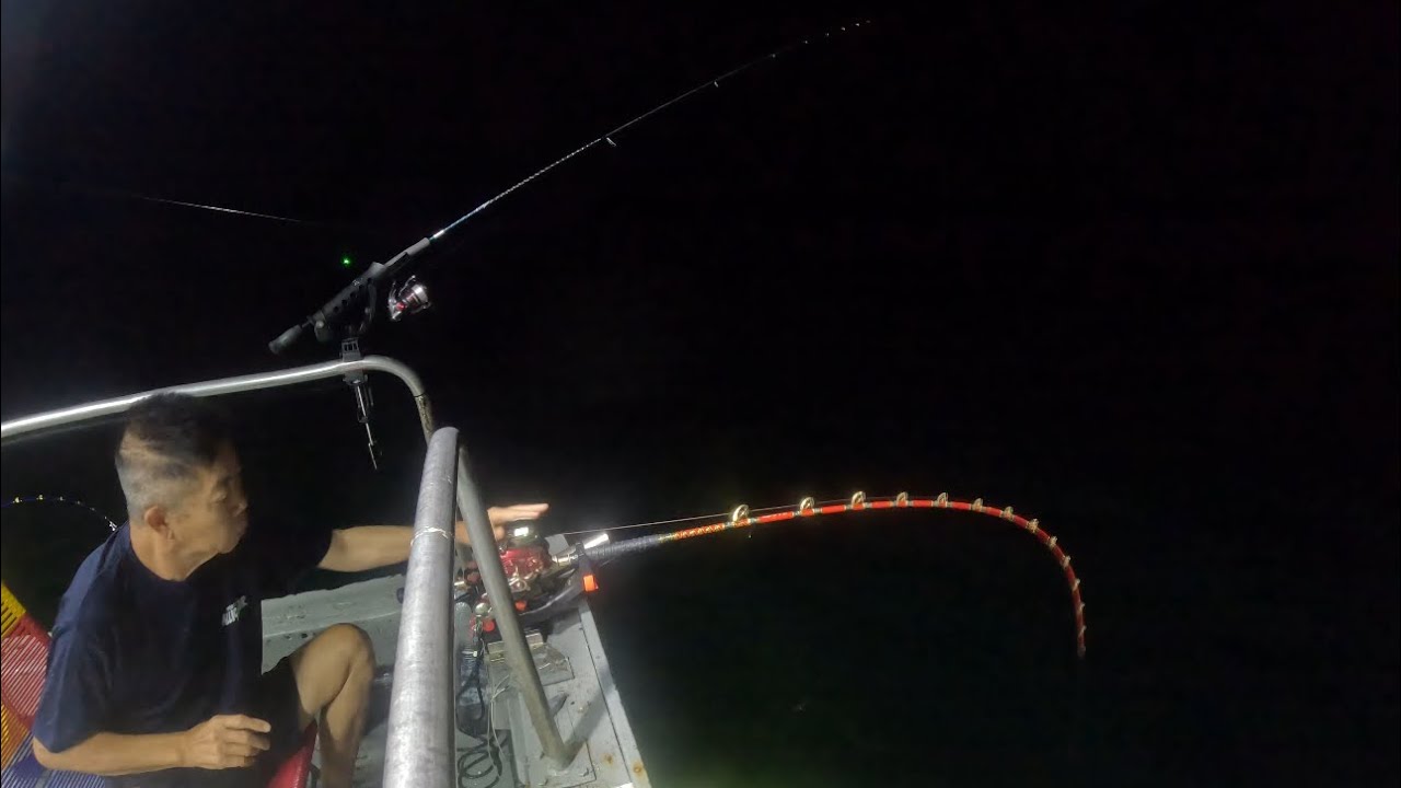 ALLIGATOR NEW AF215G LIMITED pair with Daiwa Seaborg 600MJ test at Boat Seagull By SILIBIN TACKLE ‼️
