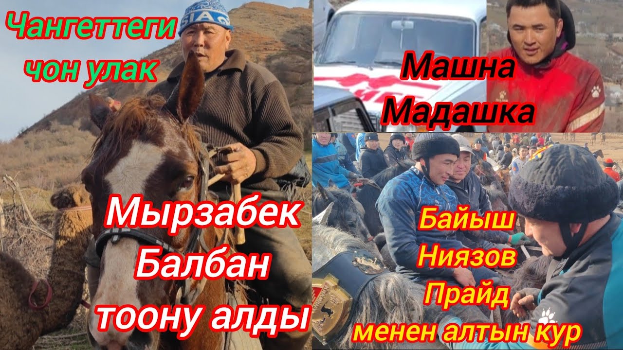 Чангеттеги чон улак