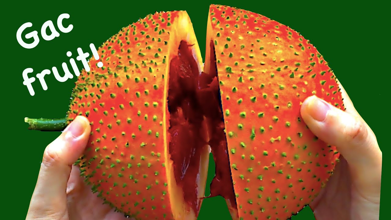 How to eat Gac fruit | Baby Jackfruit | Spiny Bitter Gourd | Sweet Gourd | Cochinchin | Buah gac