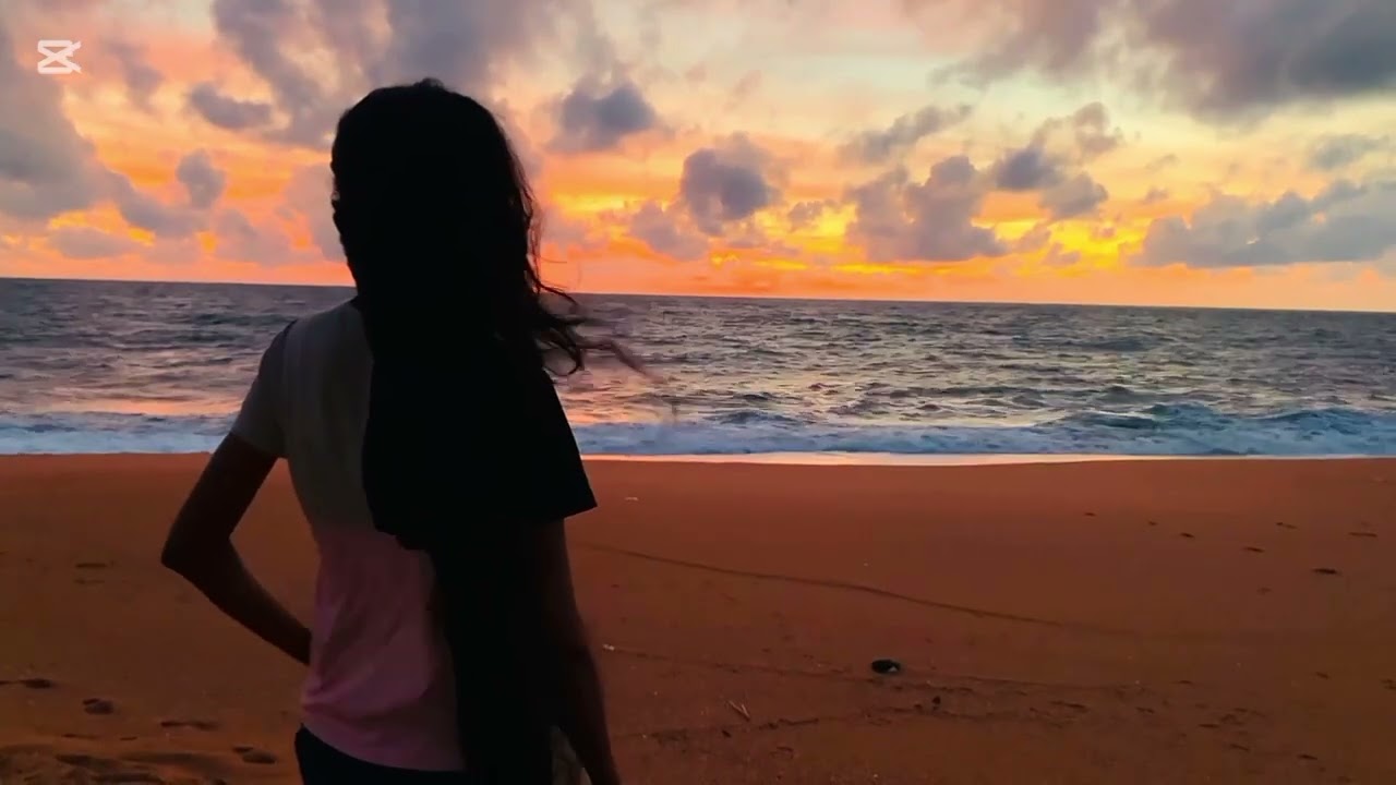 #beach #sunset #wind #freedom #fypシ゚viral #shorts #shortvideo #naturelovers 