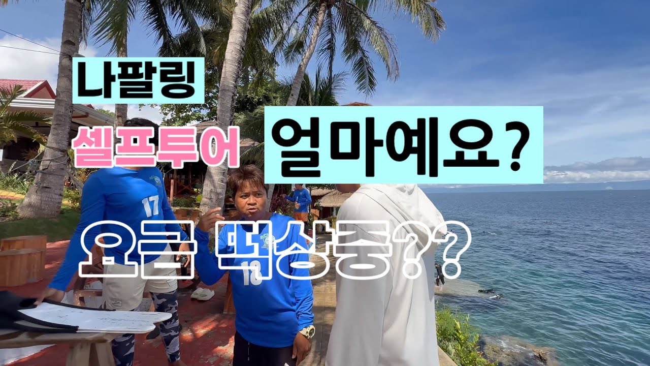 🇵🇭보홀 나팔링 셀프투어 가격은? 나팔링투어 요금 떡상중입니다