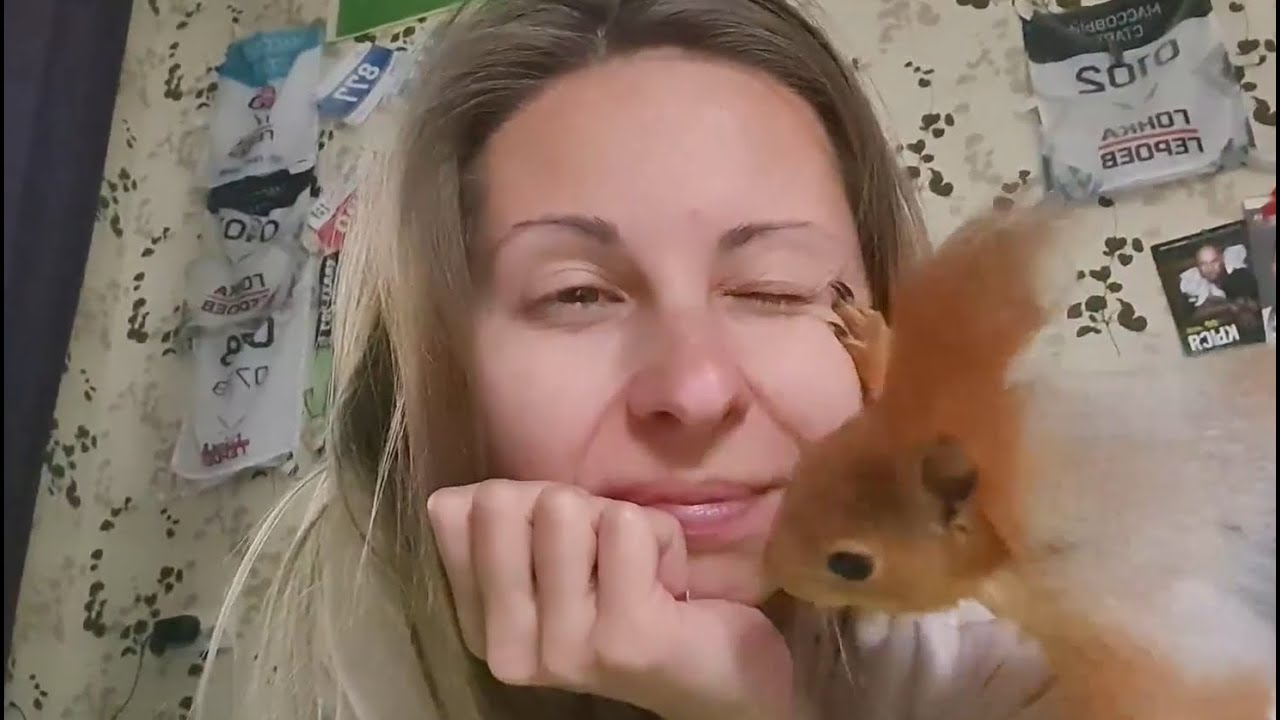 Белка- домашнее животное 🐿️ The squirrel is a pet