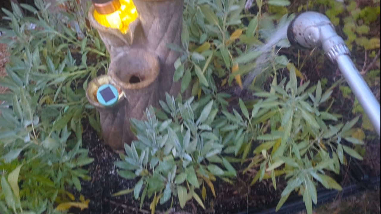 Late Summer Garden Watering 