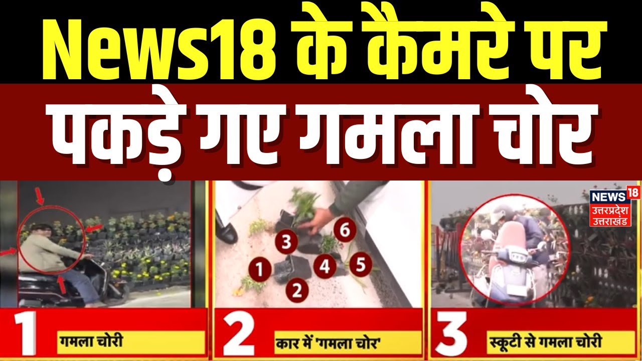 Lucknow Gamla Chori Video Viral: News18 के कैमरे के सामने गमला चोरों ने क्या कहा? | CM Yogi | UP