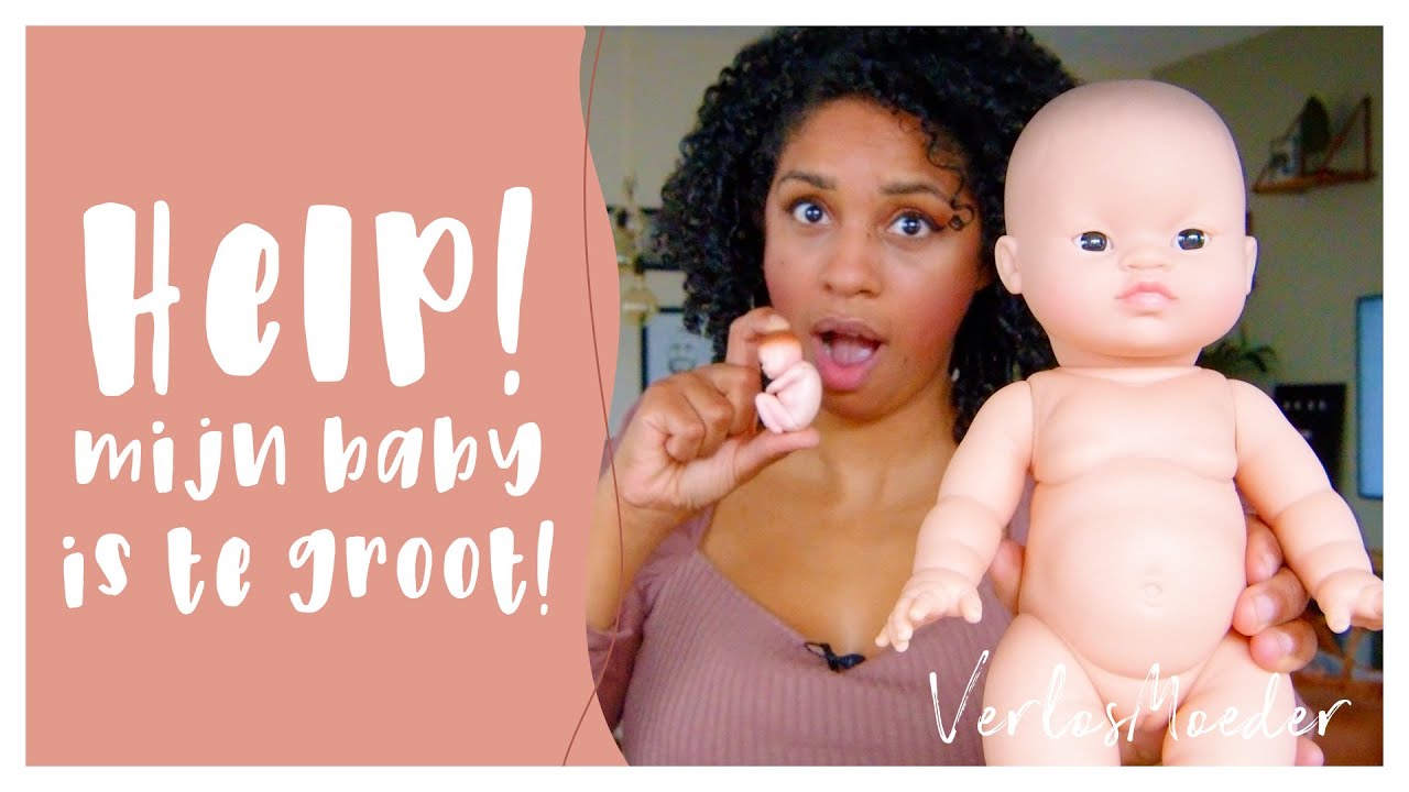 HELP MIJN BABY IS TE GROOT! Groeiecho | Mijn buik is te groot | Inleiding | Keizersnede? | Bevalling