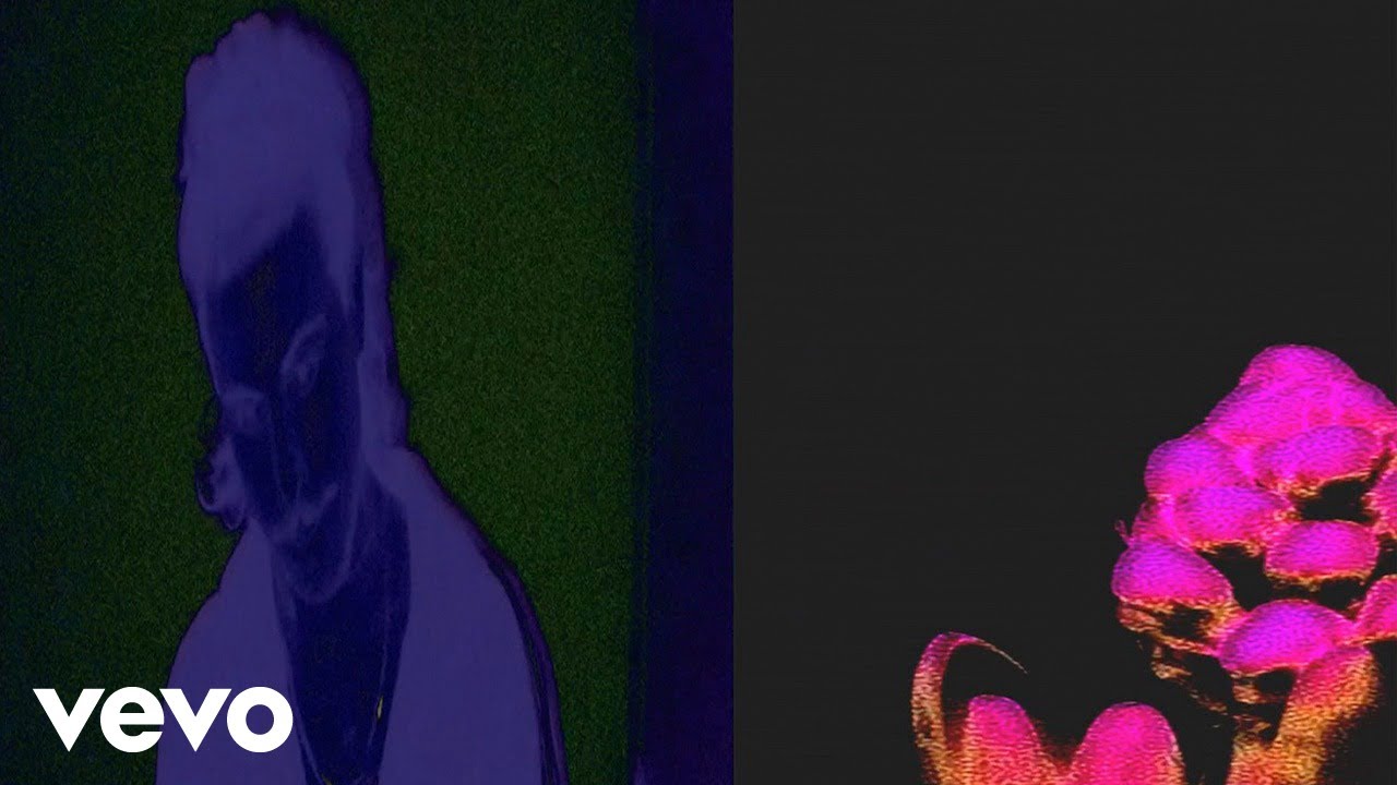 La Plazuela - Eterna Primavera (Video Oficial)