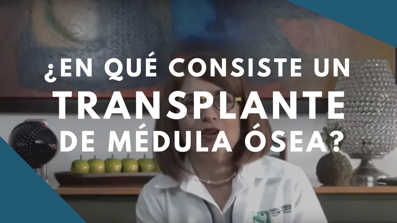 ¿En qué consiste un trasplante de médula ósea?