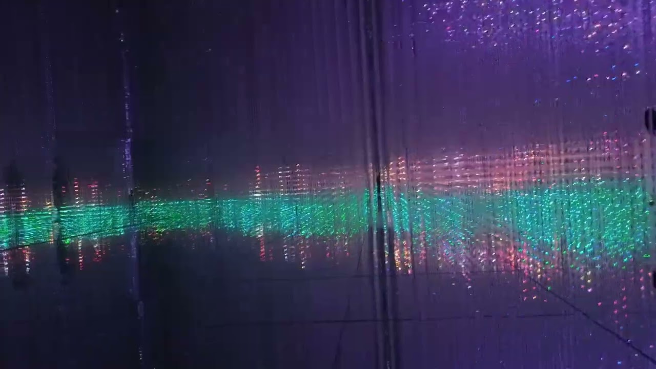 teamLab Borderless: MORI Building DIGITAL ART MUSEUM (18/23)