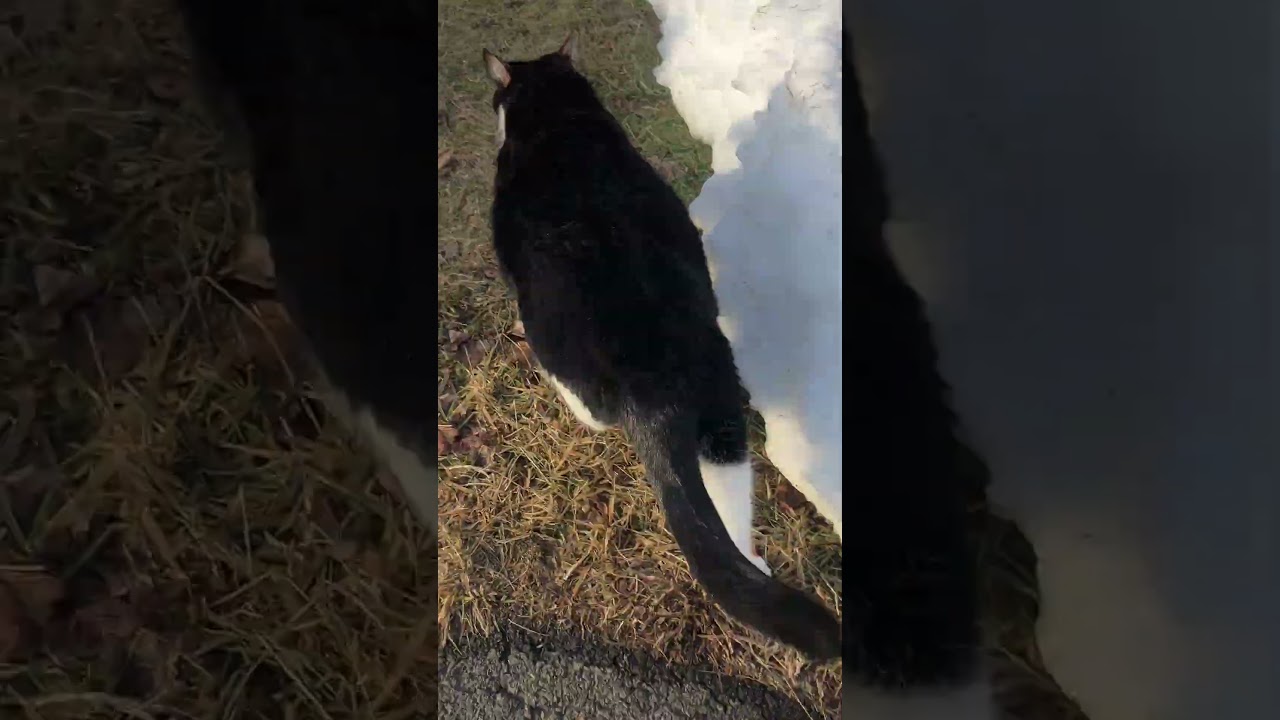 Храбрость Наггса мимолетна.