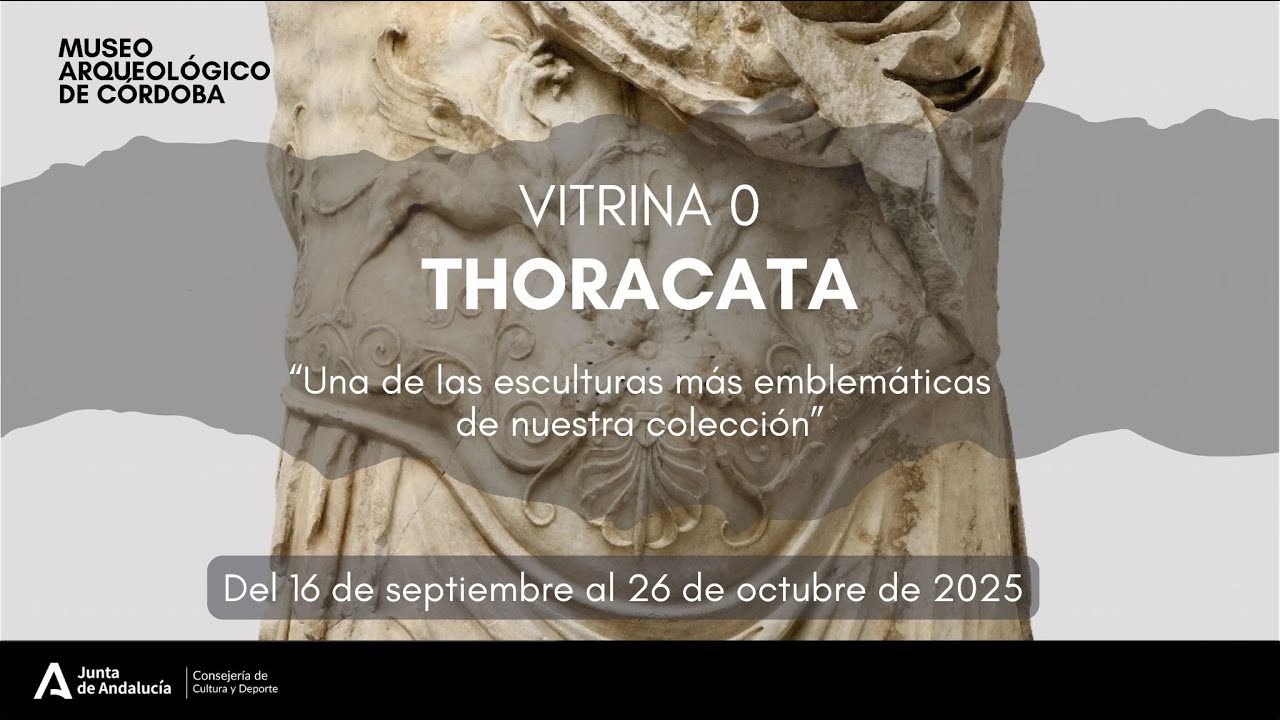 Vitrina 0: Thoracata