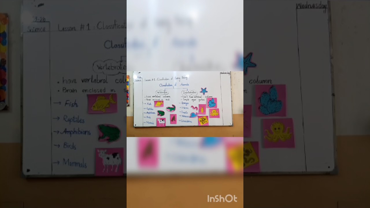Science, Classification of living things