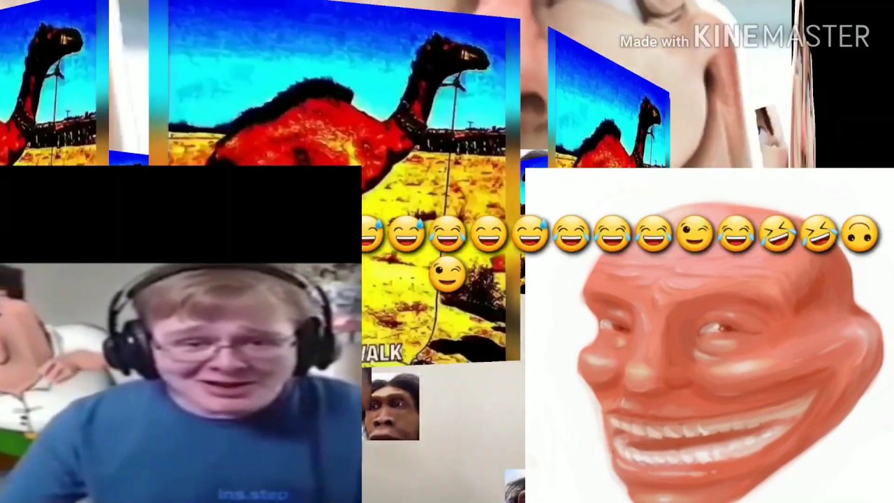 7 Minutes of r/ArabFunny