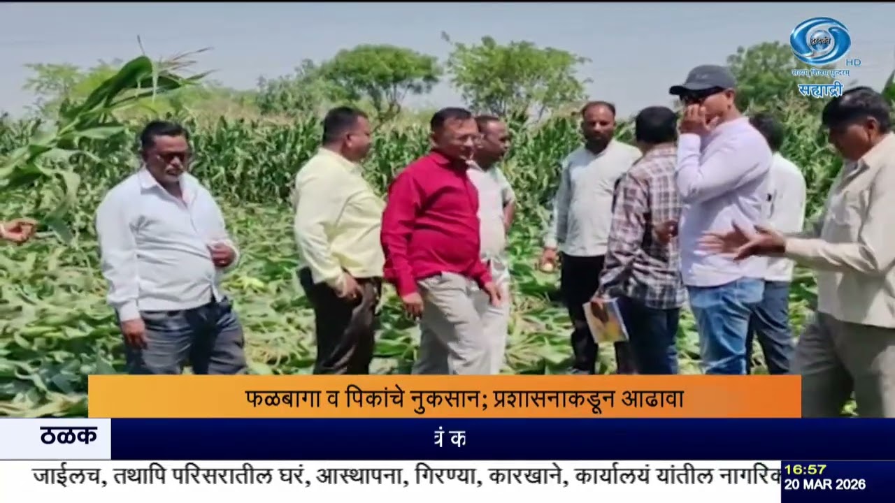 गारपीट-अवकाळी पावसाचा फटका! बीड-धुळेतील पिकांचं मोठं नुकसान |  पंकजा मुंडे