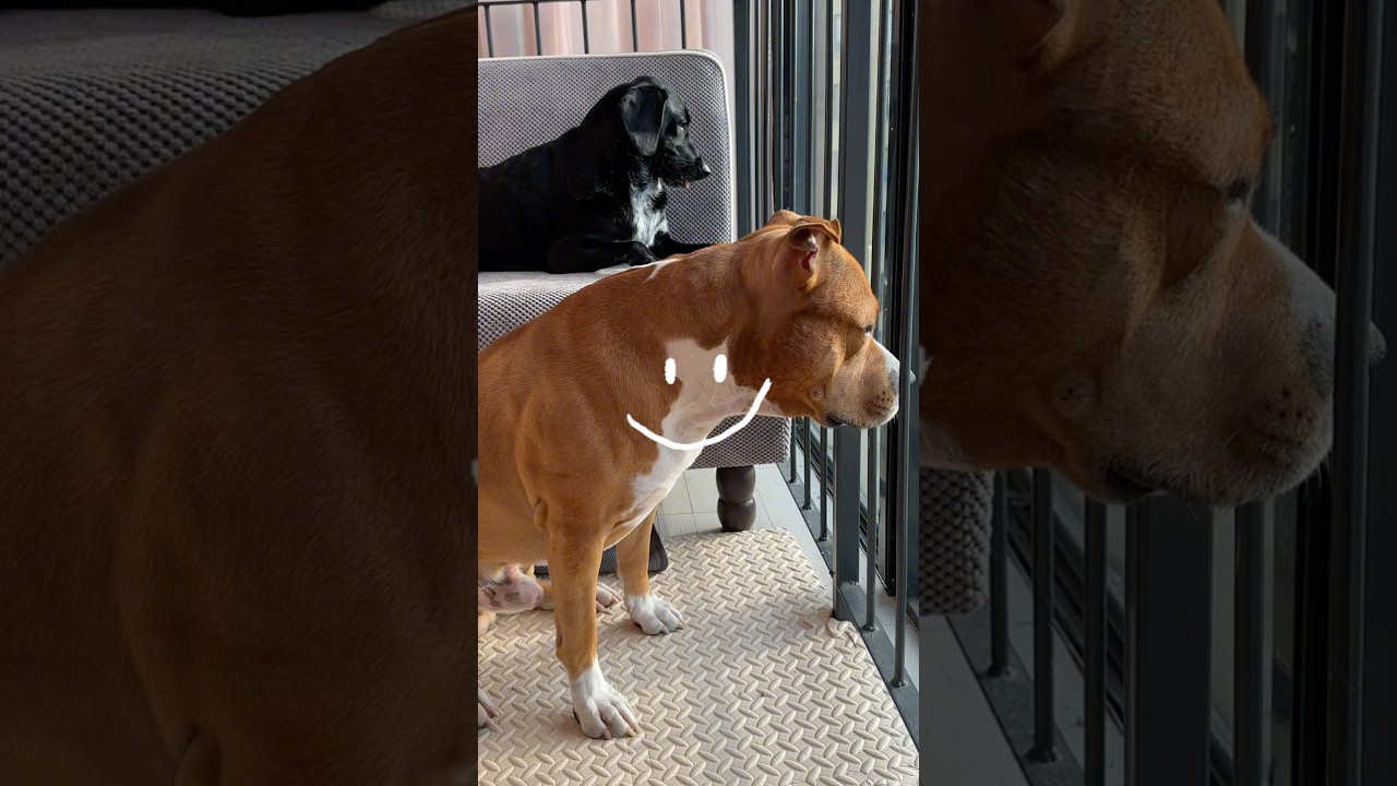 Свежесть и чистота дома без клининга: ликвидатор запаха, который убивает 99% бактерий #WW146626 WB