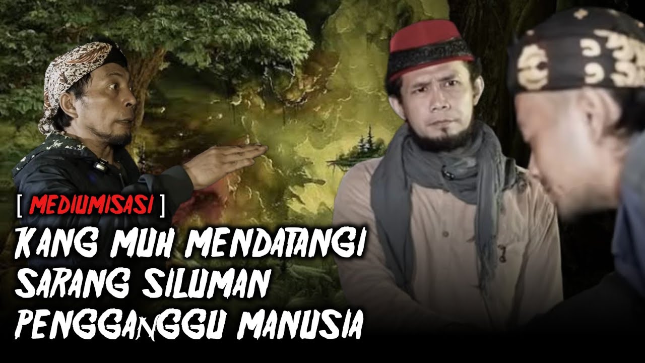 SARANG SILUMAN GANGGU ORANG